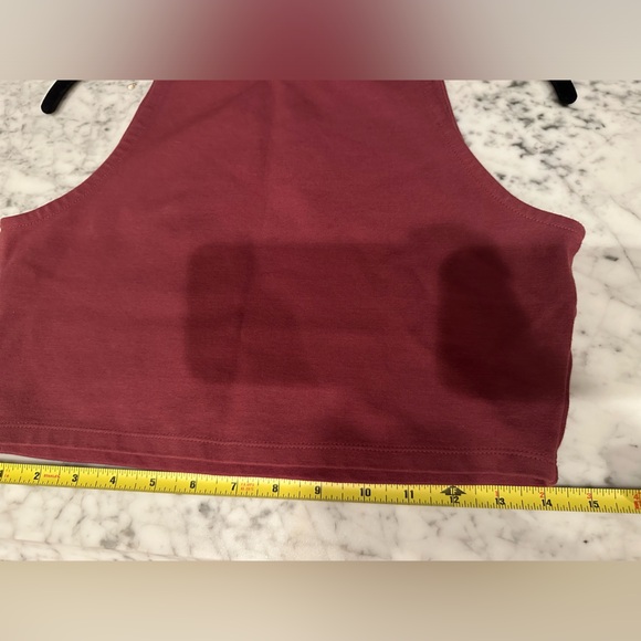 Aritzia Talula “Wiltona” Mauve Crop Top - Picture 4 of 7